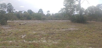 115 Hayes Ave NE, Lake Placid, FL 33852