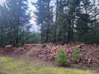 110 Ridge Ln, Packwood, WA 98361