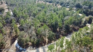 131 Spring Lake Dr, Interlachen, FL 32148