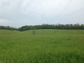 0 Stone Plant Rd Unit 3964630, Cadiz, OH 43907