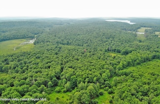 13 Mitchel Rd, Bethel, NY 12786