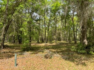 Lot 401 Blackberry Ln NE, Shellman Bluff, GA 31331