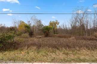 433 Rochester Rd, Leonard Vlg, MI 48367