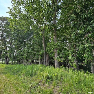 000 Wilson Rd, Kinmundy, IL 62854