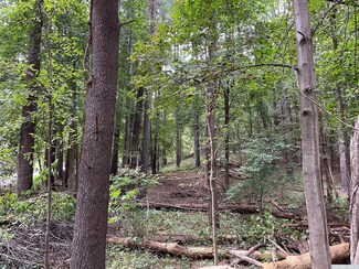 0 Pine Tree Rd Unit 141407, Livingston, NY 12541