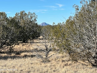 2249 W Cienega Dr, Ash Fork, AZ 86320