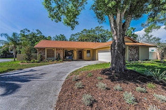 3041 Oak View Dr, Palm Harbor, FL 34684