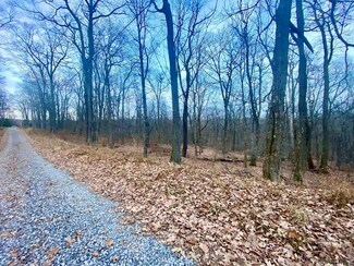 Lot 168 Alpine Rd Unit 168, Jenner Township, PA 15531