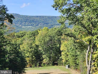 0 Grace Mountain Ln Unit WVHD2002412, Milam, WV 26838