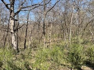 6504 Jansen Cove, Lake Panorama, IA 50216