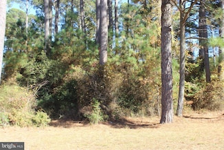 1140 Scimitar Way, Greenbackville, VA 23356