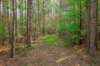 Magnolia Ln, Saluda, SC 29138