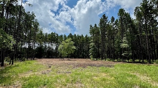 TBD County Road 2626, Wells, TX 75976