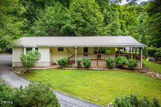 101 Shadow Mountain Rd, Roan Mountain, TN 37687