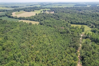 0 Tract 8b Highway 158, Harviell, MO 63945