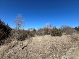 14842 Crystal Dr, Excelsior Springs, MO 64024