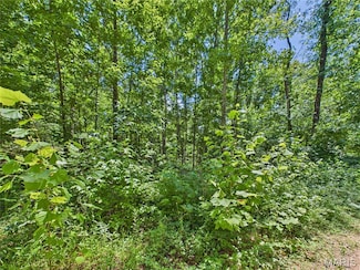 Lot 333 Crestwood Dr, Wappapello, MO 63966