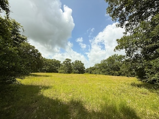 Tbd County Road 261, Oakwood, TX 75855