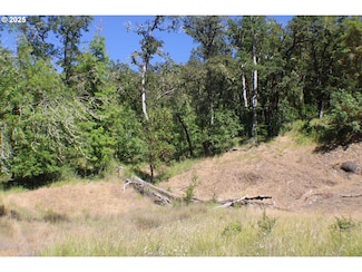 0 Sierra Dr Unit 502008852, Roseburg, OR 97471