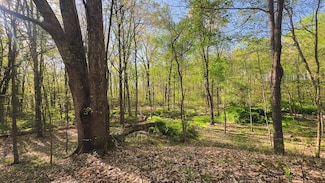 0 Spargursville Rd Unit WAVERLY OH 45690, Waverly, OH 45690