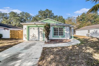 8512 Lazy River Dr, Tampa, FL 33617