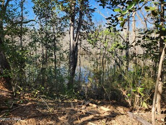 XXX County Road 333, Bristol, FL 32321