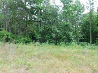 TBD Megan Mills Rd, Gilmer, TX 75644