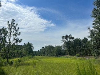 0 Newman Rd Unit 21040182, Mobile, AL 36695