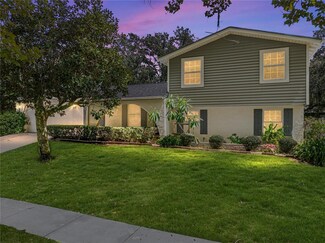 507 Hillpine Way, Brandon, FL 33510