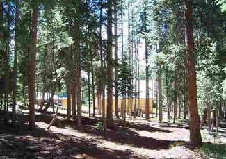 2200 Spruce Rd, Cimarron, CO 81220
