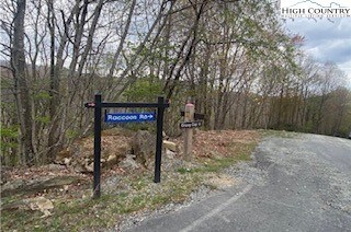 107 Raccoon Rd, Beech Mountain, NC 28604