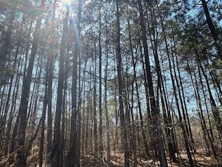 000 U S 79, Emerson, AR 71740