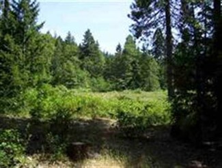 Lot 19 Forest Ln, Dunsmuir, CA 96025