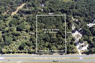 TBD N Us Hwy 301, Citra, FL 32113