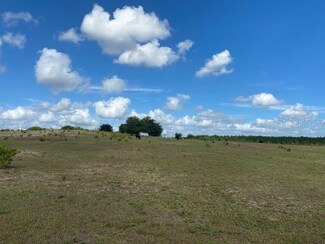 3910 Muncie Rd, Babson Park, FL 33827