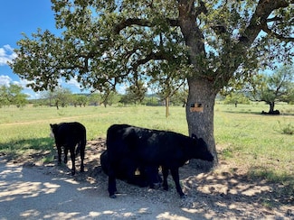 Tract 13 Jack Rabbit Rd Unit 13, Doss, TX 78618