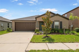 10390 Scarlet Skimmer Dr, Riverview, FL 33578