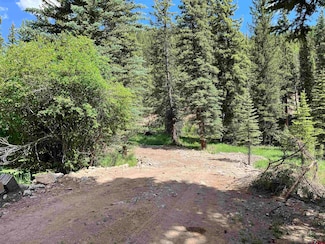 TBD 11th St, Pitkin, CO 81241