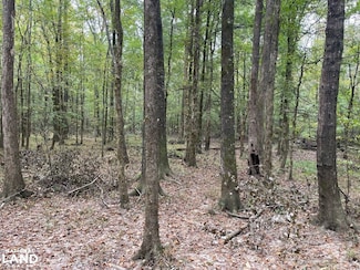0 Saint Anne Rd, Carthage, MS 39051