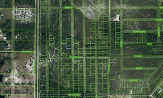 866 Scarlet Oak St, Lake Placid, FL 33852