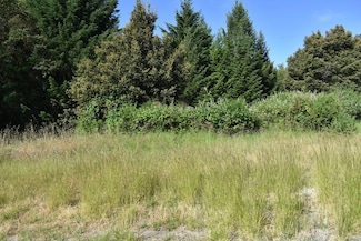 0 Briceland Rd Unit 225067594, Whitethorn, CA 95589