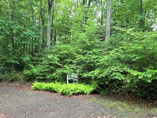 TBD Forest Park Ln, Fancy Gap, VA 24328