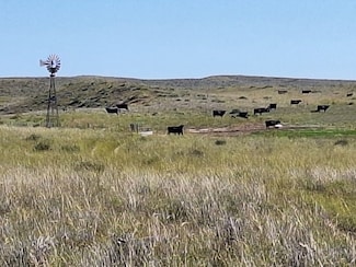 County Road Aa, Wray, CO 80758