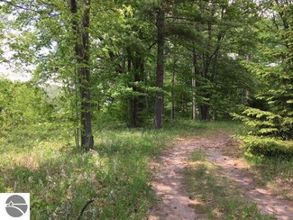 -00- N Huron Unit 70&71, Au Gres, MI 48703