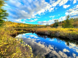 17 Blanchard Dr, Diana Center, NY 13648