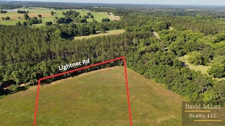 Lot 5 Lightner Rd, Ariton, AL 36311