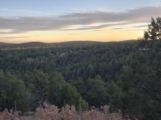 0 Wollin Dr, Timberon, NM 88350