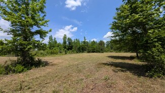 0 Beaver Pond Rd Unit 5 11579890, Luverne, AL 36049