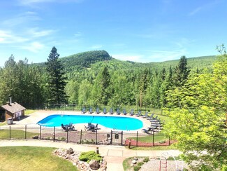 128 Bridge Run Ln Unit B, Lutsen, MN 55612
