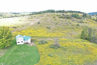 1163 Irish Hill Rd, West Union, NY 14877